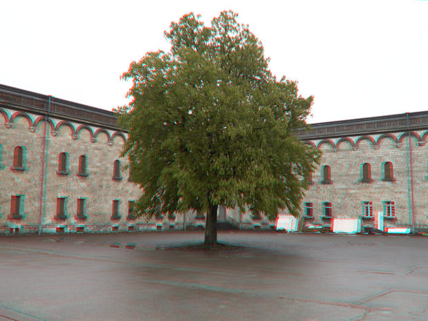 Die Wilhelmsburg in 3D